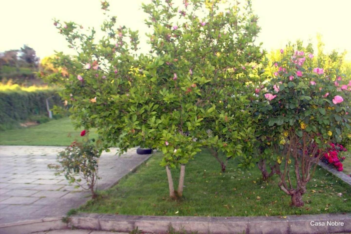 Retiro Na Natureza Casa Com Piscina Digueifel Zewnętrze zdjęcie
